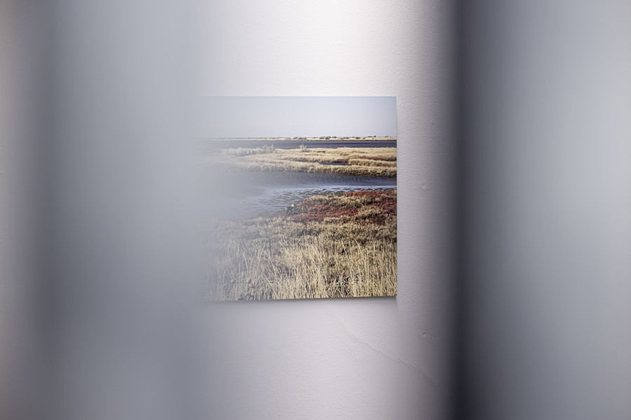 Exhibition View Solo Show Yota Tsotra «Wor(l)ds of borders; view on Yota Tsotra, Jackall, 2022, fine art print, mounted on aluminium, 60 cm x 44.5 cm, ed. 5 + 2 ap.» at Peripherie 8, Basel, 2025 / Photo: Stefan Schmidlin / Courtesy: Peripherie 8
