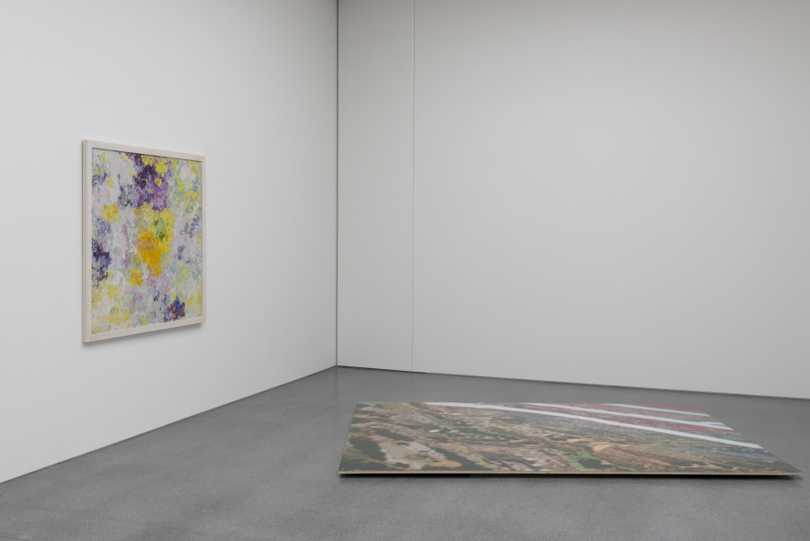 Augusto Giacometti, Phantasie über eine Kartoffelblüte, 1917 (links), Adrian Schiess, Butterfly, 2012