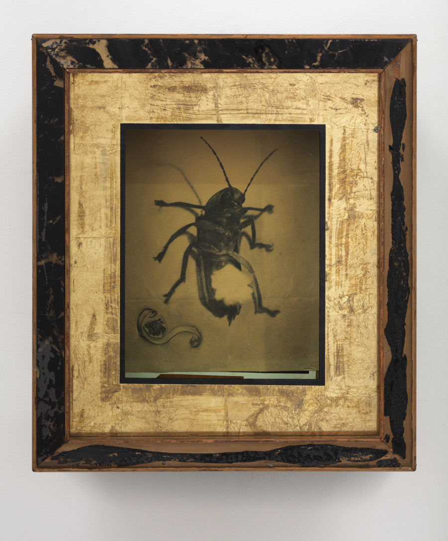 Brad Kronz, Untitled, 2019. Photo : Tim Ohler. Courtesy of the artist