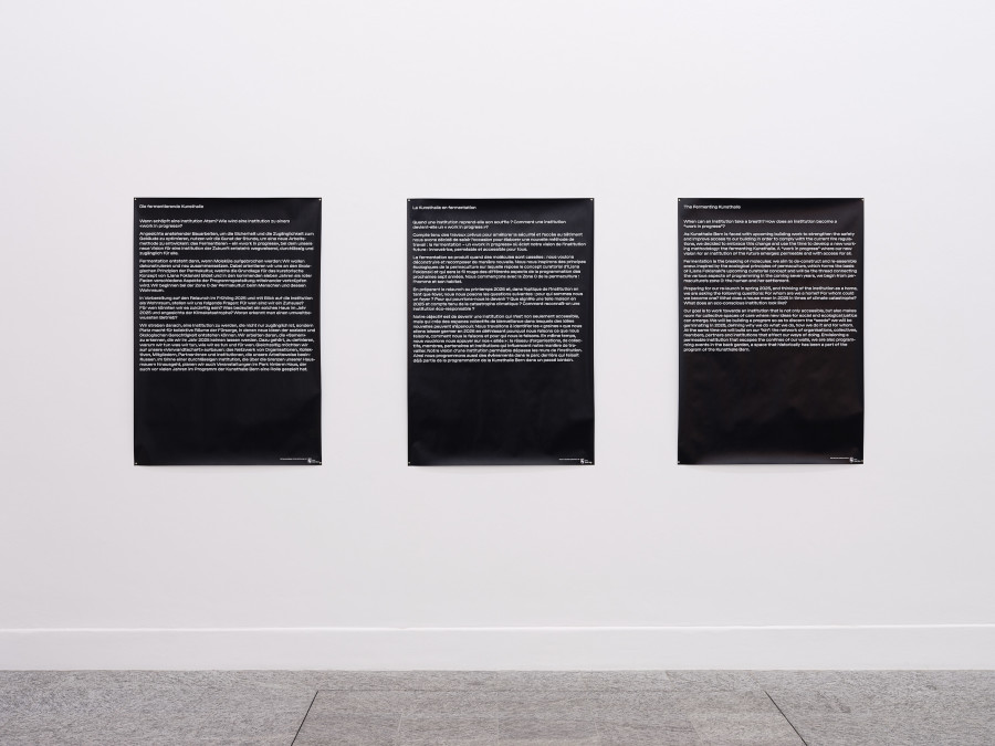 Exhibition view, Back to the Future, George Steinmann, Lofty Dryness. A growing Sculpture, 2003 – 2024, Kunsthalle Bern. Photo: David Aebi.