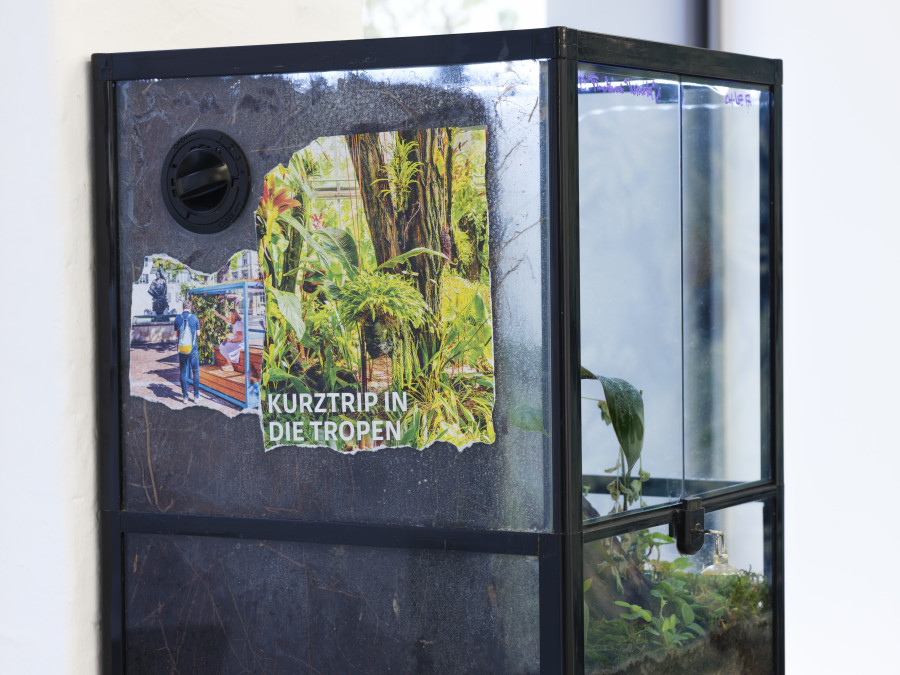 Leonardo Bürgi Tenorio, mirando el reflejo de nuestra sombra (la selva), 2023