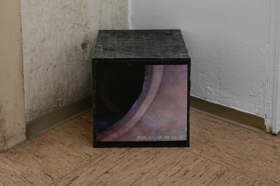 Sean Morel, "Brain in a Pipe Video Stills (014)," no date, 30,48 x 30,48 x 30,48 cm. CAConrad, Jan Domicz, Gina Folly, Germaine Koh, Devin T. Mays, Sean Morel (organized by u), "Brain in a Pipe" at Kaiserwache, Freiburg im Breisgau, 2026. Images courtesy of the artists and Kaiserwache. Photo: Stefan Lux.