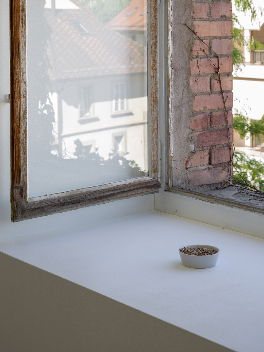 Jason Dodge, installation view, Kunsthalle Friart Fribourg, 2026. Photo: Cedric Mussano