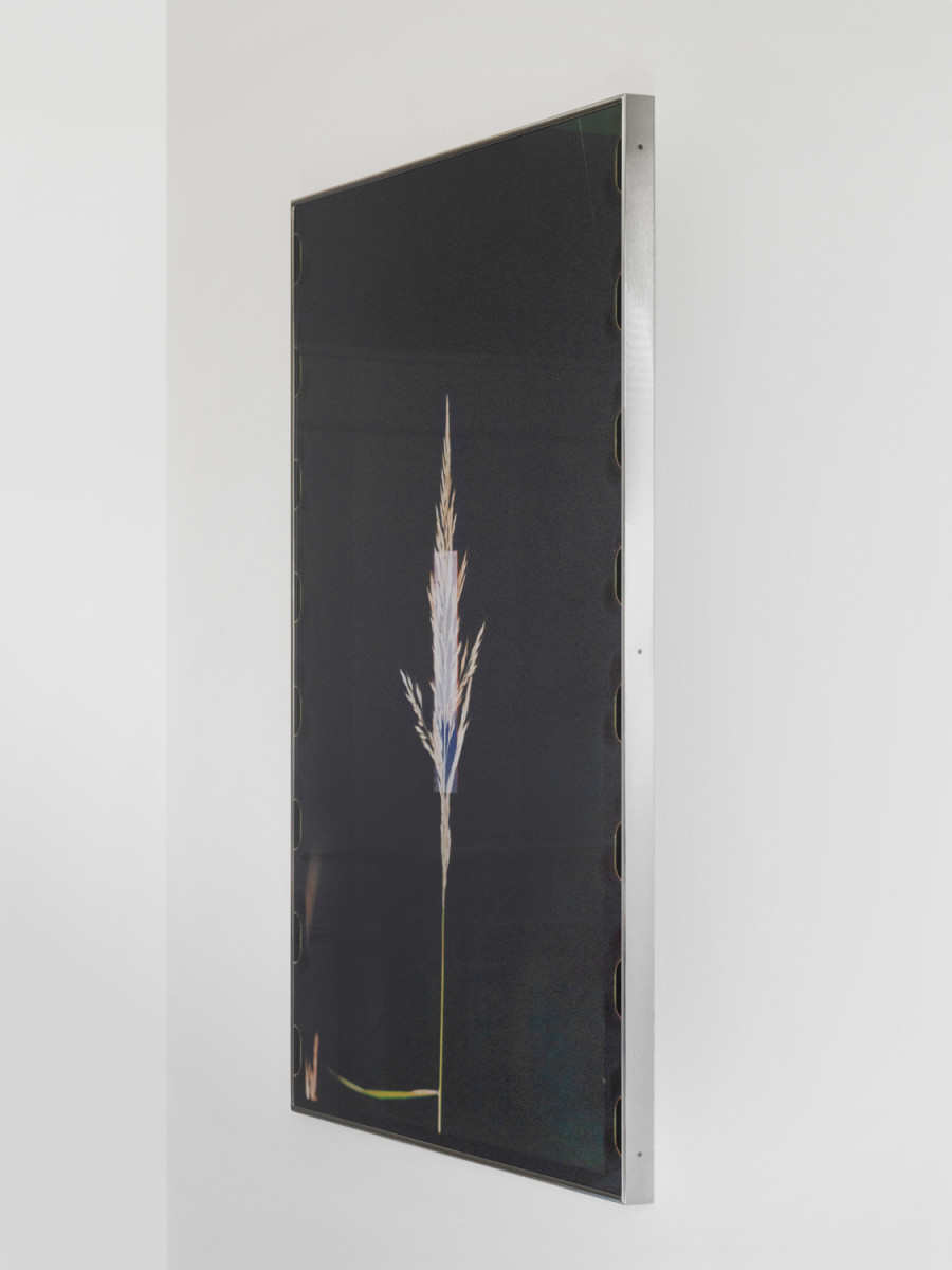 Exhibition view, Sebastian Stadler, Aqua Tuning, Galerie Heinzer Reszler, 2025. Courtesy of the artist and the gallery. Photo credit: Julien Gremaud