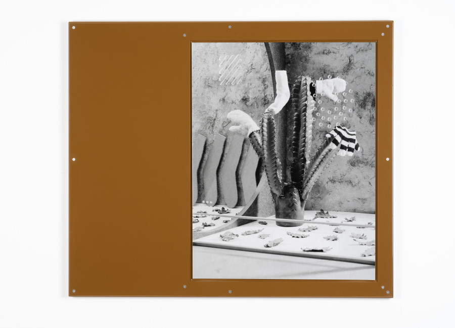 Stefan Burger, Vereinzelung, 2025, Silver gelatin print, lacquered steel plate, acrylic glass, 100 x 85 cm