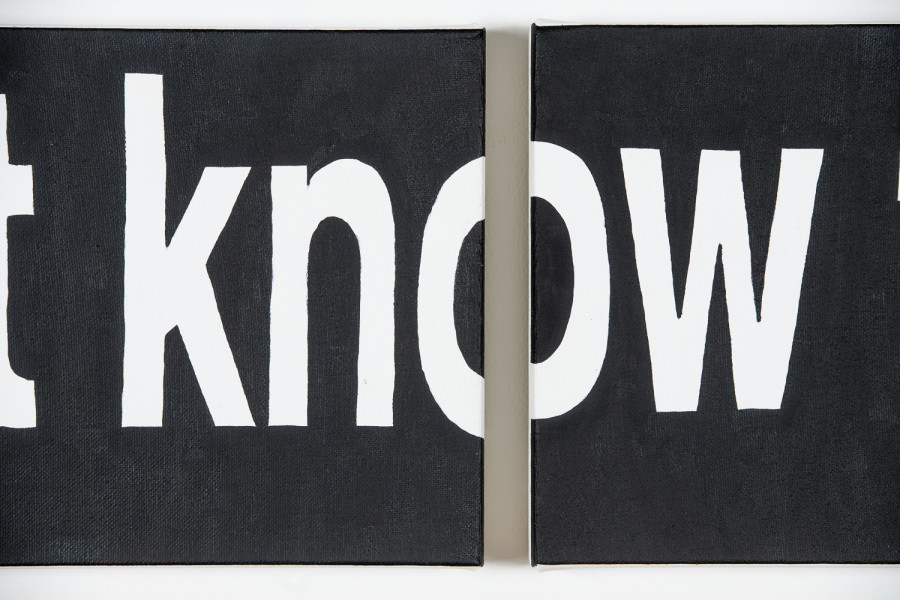 Exhibition view, Niels Hung, Curiosity Never Killed The Cat, Société des Arts de Genève, 2026.