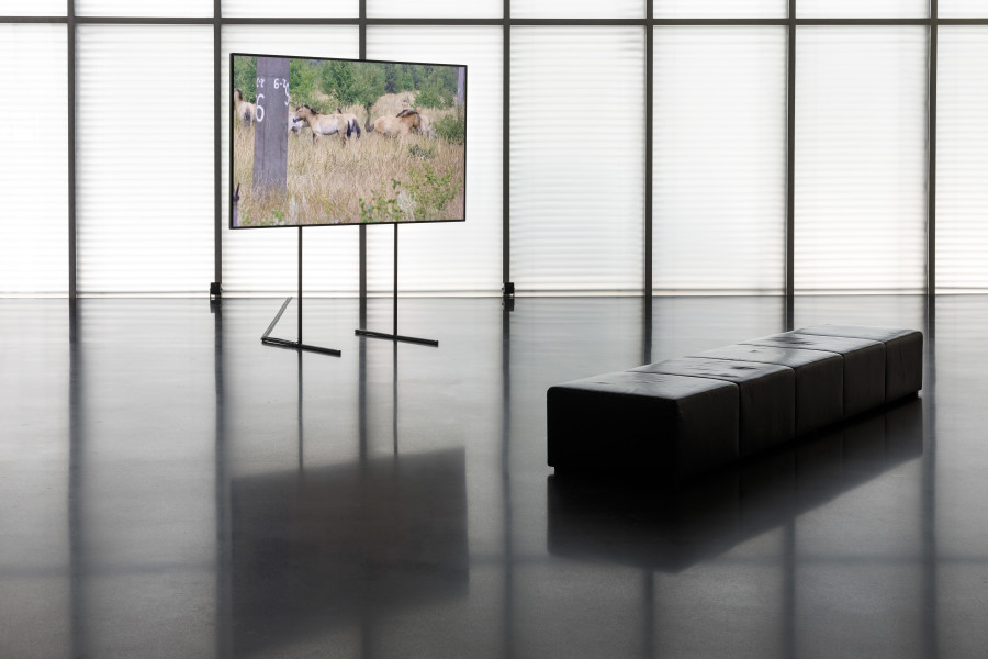 Anna Jermolaewa, Chernobyl Safari, 2014/23, Installation view ground floor Kunsthaus Bregenz, 2023. Photo: Markus Tretter. Courtesy of the artist. © Kunsthaus Bregenz, Anna Jermolaewa, Bildrecht, Wien, 2023