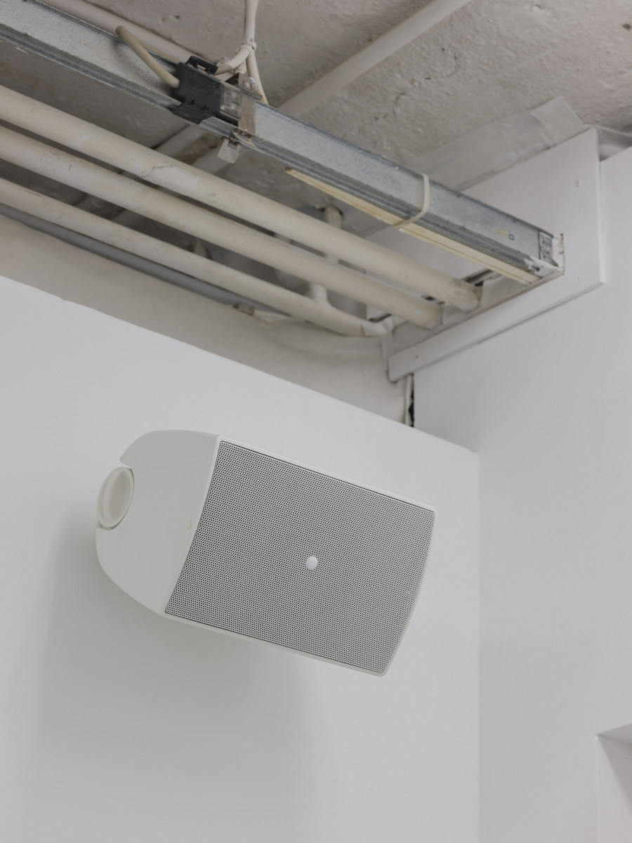 Caroline Bourrit, Charge Fantôme, Installation view, 2022, CAN Centre d’Art Neuchâtel,
Photo: S. Verdon