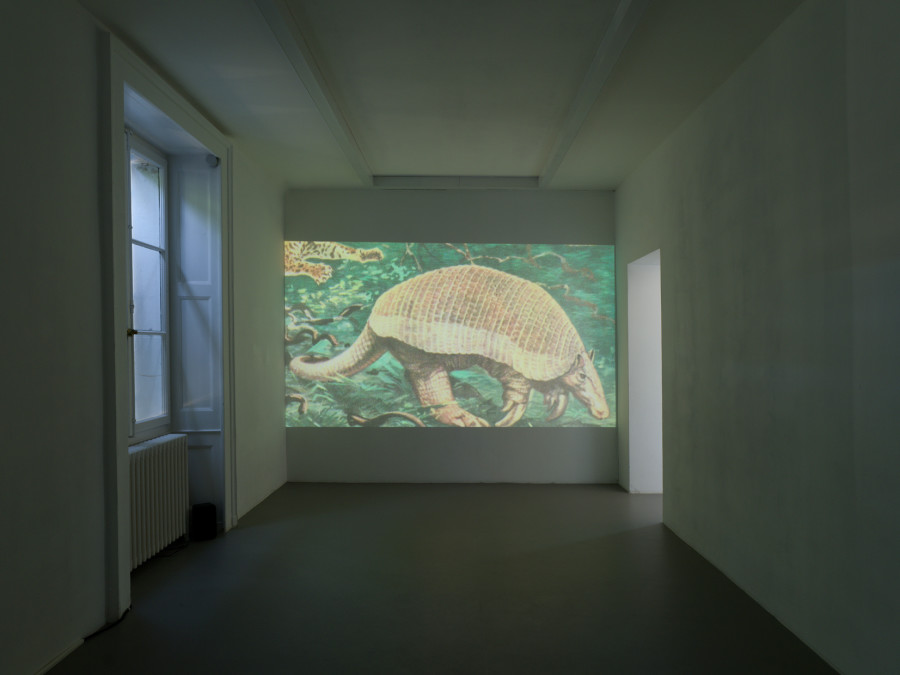 Hippolyte Hentgen, Les Italiens, vidéo, textes et voix Anne-James Chaton, 2024 et Night Sounds, dessin au graphite, vue de l’exposition « Chambre à deux lits » à la Villa du Parc - centre d’art contemporain - Aurélien Mole, 2025
