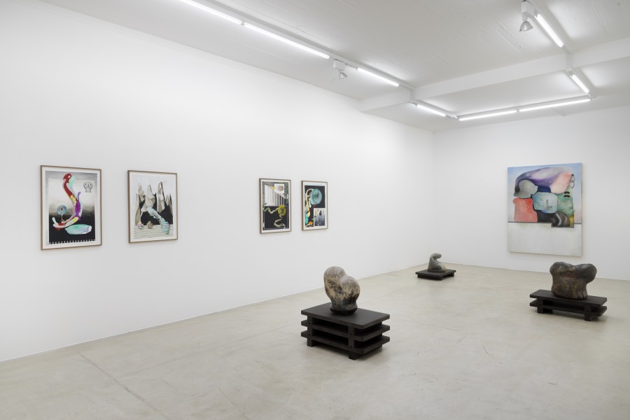 Exhibition view, Benedikt Hipp, SALT DOME, Nicolas Krupp, 2023.