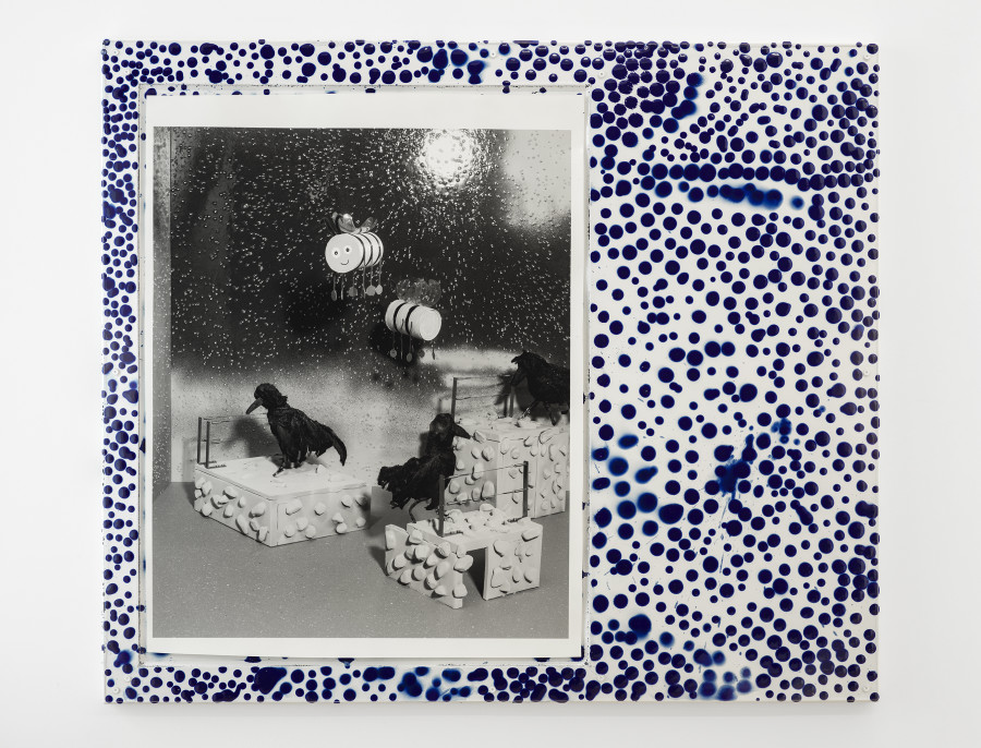 Stefan Burger, Anti, 2023, Silver gelatin print, enameled steel plate , acrylic glass, 100 x 85 cm