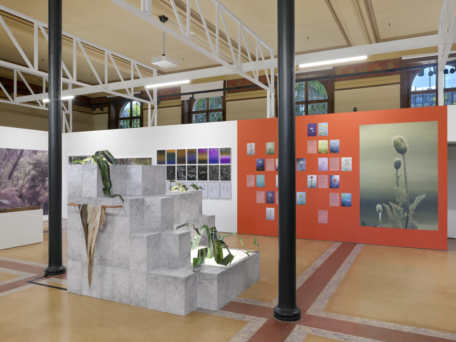 Installation view, Bruissements végétaux, Centre de la photographie Genève, 2025. Photo credit: Annnik Wetter