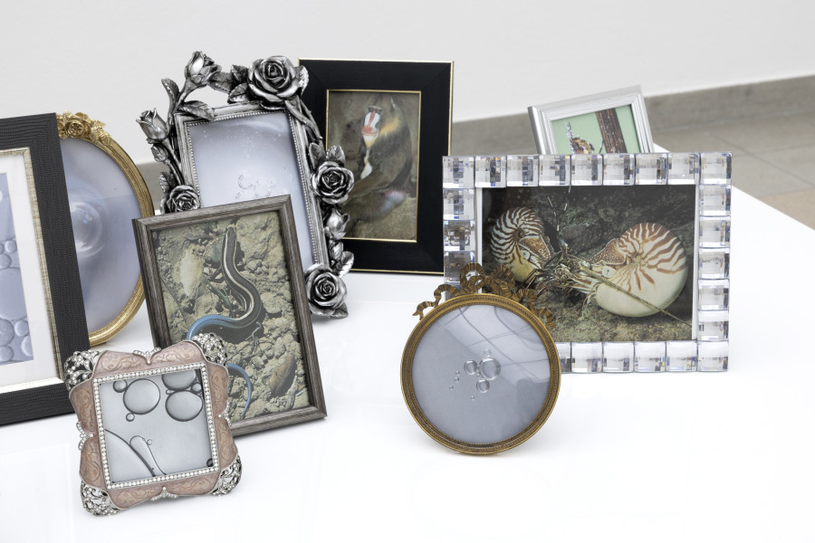 Hélène Fauquet, life-world, Detail / detail, 2023. Hélène Fauquet, Phenomena, Ausstellungsansicht / installation view, Kunsthaus Glarus, 2023. Foto / Photo: Gina Folly