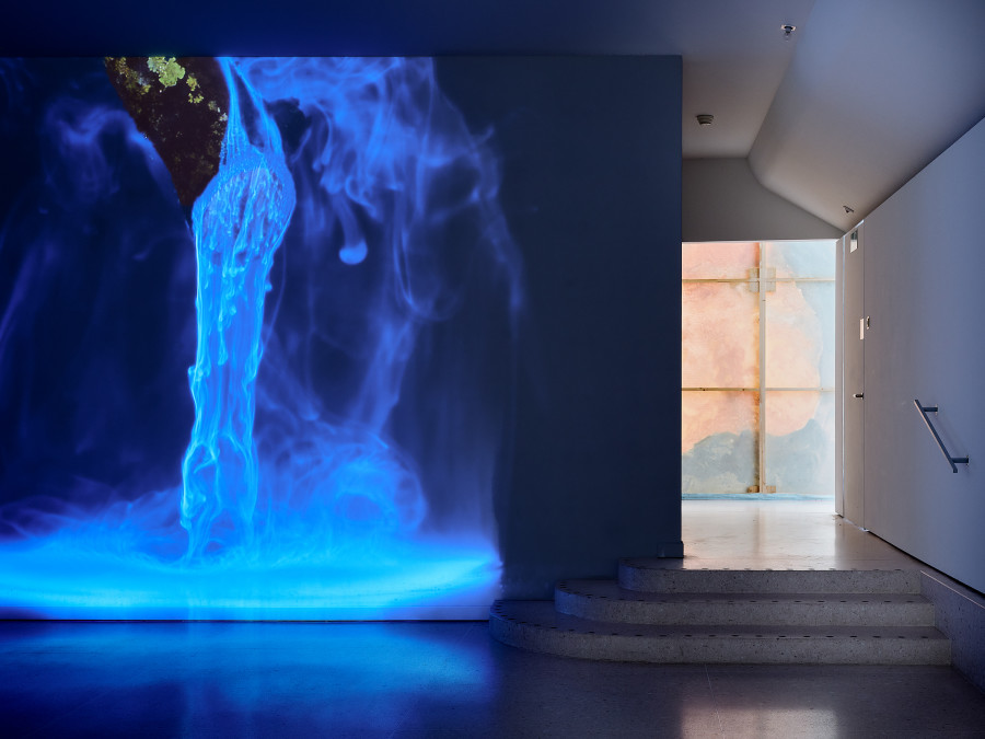 Ausstellungsansicht Eintauchen! Denis Twerenbold, aesculus, 2020, Kantonale Kunstsammlung Zug. Foto: Ernst Kehrli. © Courtesy of the artists, Kunsthaus Zug