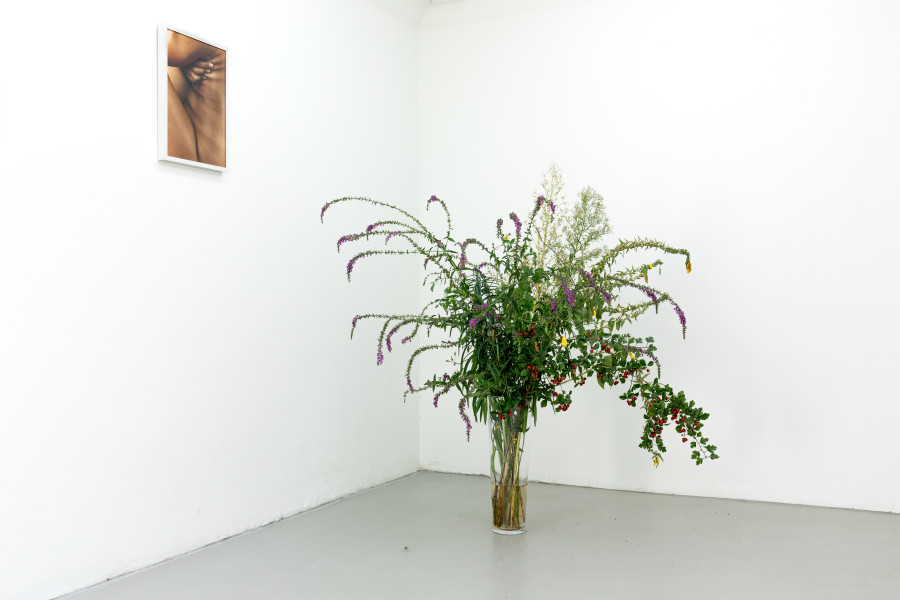 Exhibition view, Haus Gawaling, SALTS, 2024. Photo credit: Nicolas Gysin