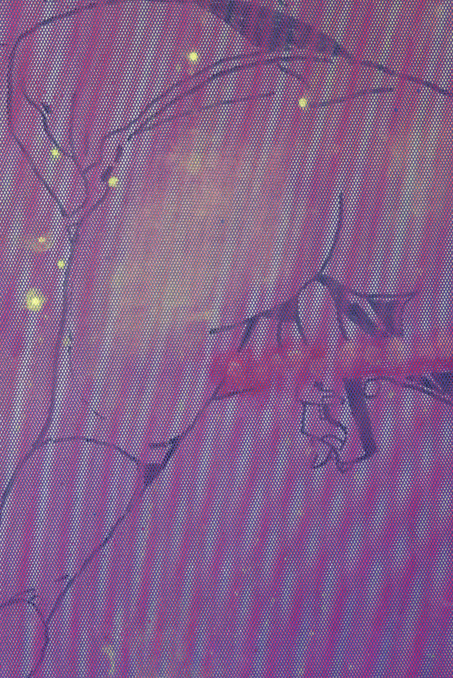 Exhibition view, Where we haven t been, 13 Vitrine, Lausanne, 2025. Detail of Matthieu Hemmer, Differant Love, 2025