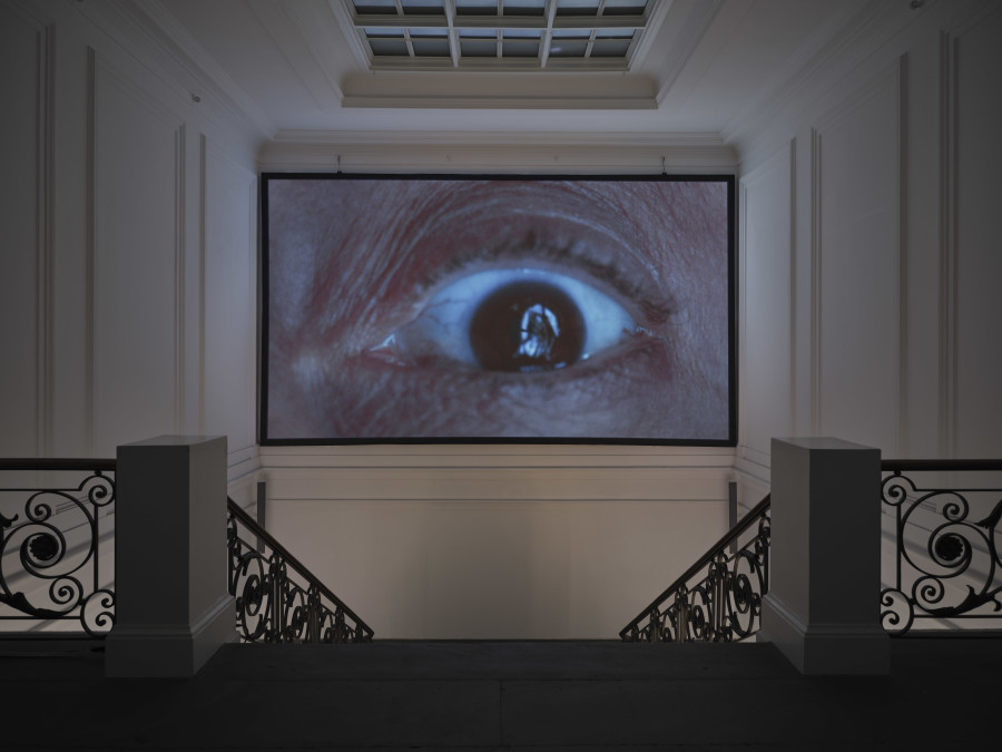 Dorota Gawęda & Eglė Kulbokaitė, Still life of a thistle between carnations and cornflowers on a mossy forest floor, 2020, installation view, in: Regionale 26, After the Afternoon, Kunsthalle Basel, 2025, photo: Philipp Hänger / Kunsthalle Basel