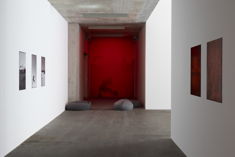 Surma, : hollow of an empty womb, 2025; : gasp, 2025; : decrepit, 2025; echoes : echoes, 2025; : roots of coexistence, 2025; : sempiternity, 2025; : shared threads, 2025. Courtesy of the artist. Ausstellungsansicht / Installation view Kunsthaus Baselland 2025. Foto / Photo: Gina Folly