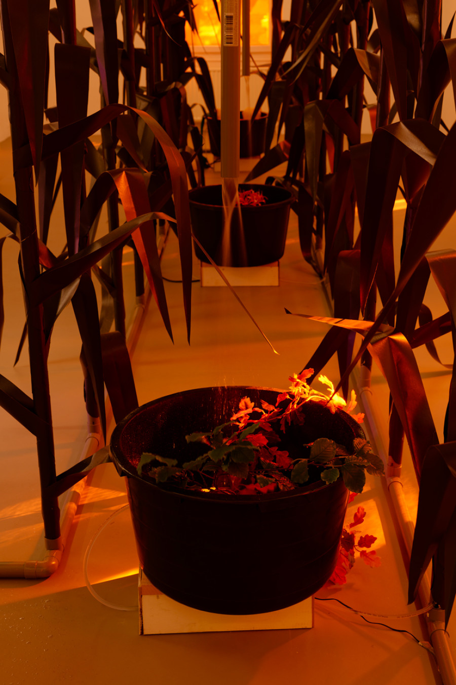 Exhibition view, 4 rivières, Eric Giraudet de Boudemange, Villa du Parc, 2023-2024. Photo credit: Aurélien Mole