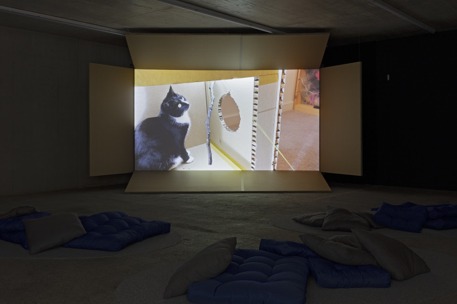 Abi Palmer, Abi Palmer Invents the Weather, 2023. Quad HD video, single channel. Video still. © Abi Palmer.
Ausstellungsansicht / Installation view Kunsthaus Baselland 2025. Foto / Photo: Gina Folly