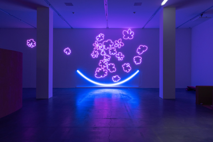 Dineo Seshee Raisibe Bopape, (Raisibe dreaming): flowers and light, flowers and light , 2023, coloured LED-lightning. Photo: Studio Stucky, courtesy of the artist and Sfeir- Semler Gallery, Beirut/Hamburg.