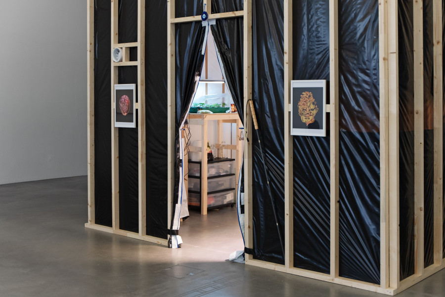 Exhibition view Interdependencies: Perspectives on Care and Resilience, Carmen and Antonio Papalia, Tripping Hazard (Field Studio 1), 2023, Installation, various materials. Courtesy the artist; Commissioned by Migros Museum für Gegenwartskunst. Photo: Studio Stucky