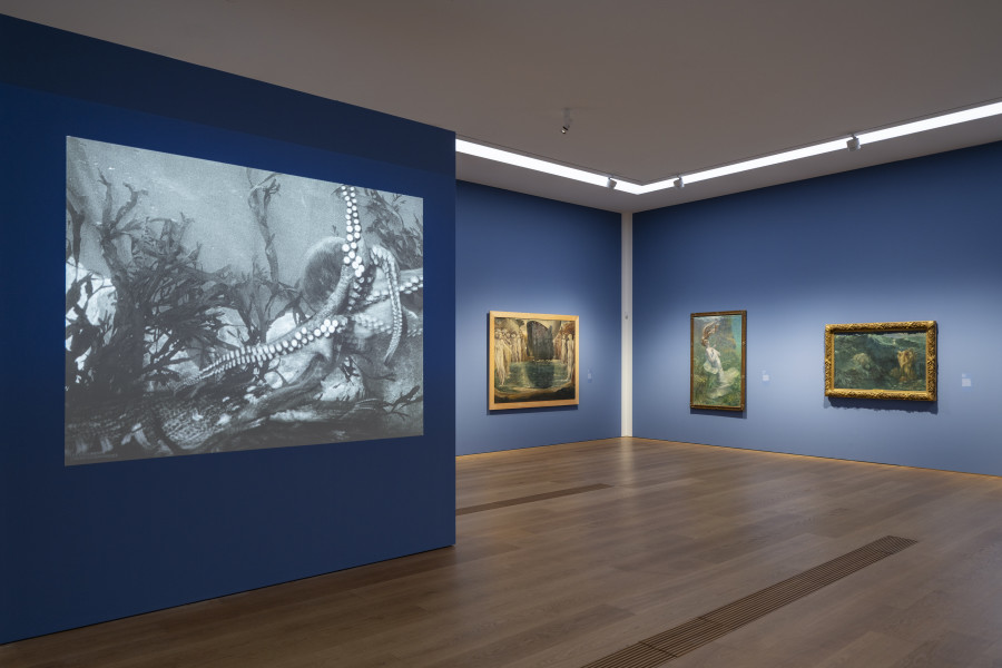 Views of the exhibition Thalassa ! Thalassa ! Imaginery of the sea, Musée cantonal des Beaux-Arts, Lausanne. Photo : MCBA /Jonas Hänggi