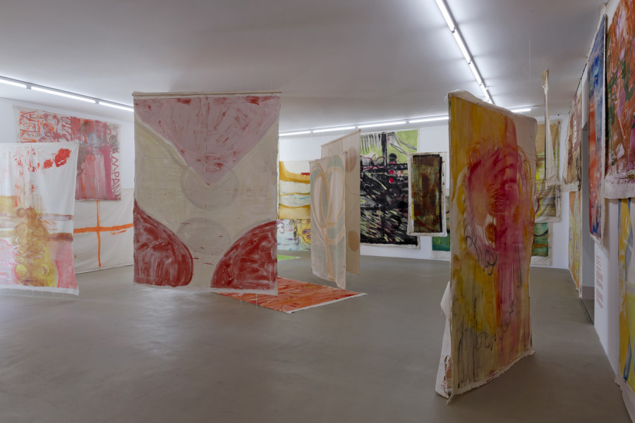Vivian Suter, Ausstellungsansicht, Kunstmuseum Basel | Gegenwart. Photo Credit: Gina Folly