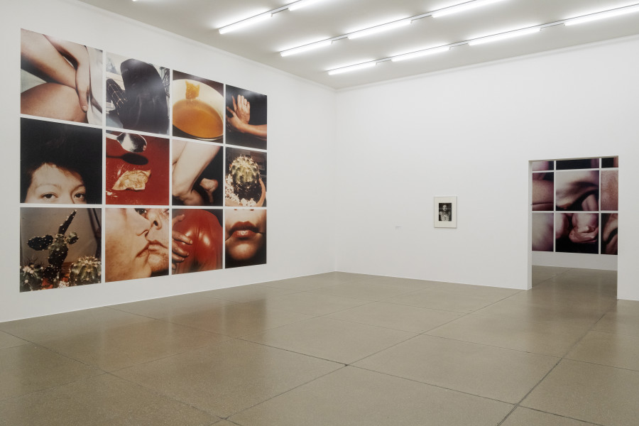 Installationsansicht Eine Frau ist eine Frau ist eine Frau... Eine Geschichte der Künstlerinnen 27.8.2022 – 15.1.2023, Aargauer Kunsthaus, Aarau. Hannah Villiger, Arbeit (12-teilig), 1980/81 Aargauer Kunsthaus, Aarau. Binia Bill, Frau unter Schwarzer Spitze, Nelke auf dem Oberkörper., Aufnahmejahr um 1934 max, binia + jakob bill stiftung © 2022, ProLitteris, Zürich. Foto: Zoe Tempest, Zürich