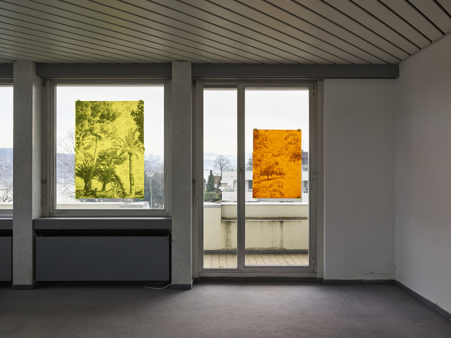 Installation view, light life memories, Nils Dunkel, flatmarkus, Kilchberg, Zürich, 2025.