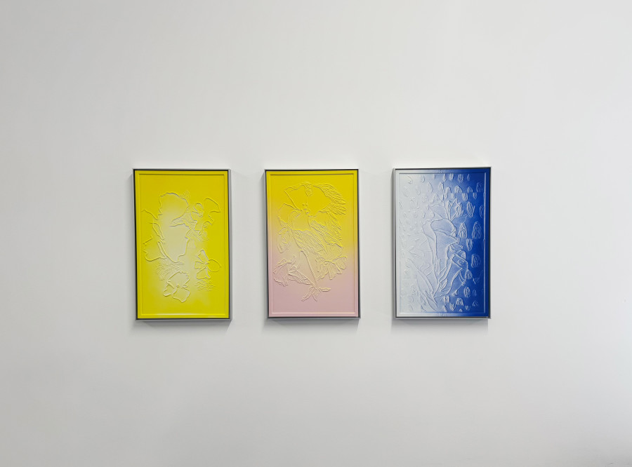 Installation view, Hannah Sophie Dunkelberg, Pasticci, Edition VFO, Zürich, 2025.