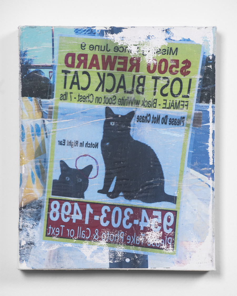 Exhibition view, Niels Hung, Curiosity Never Killed The Cat, Société des Arts de Genève, 2026.