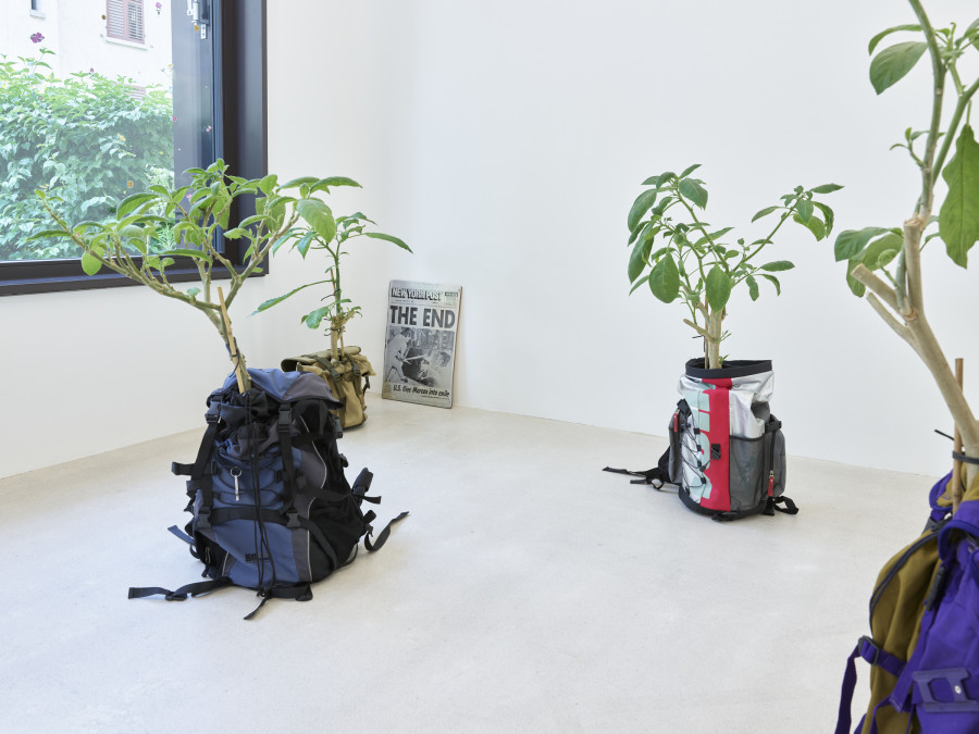 Installation view, Jasmin Werner, Apparat Kleptokrat, Damien & The Love Guru, Zürich, 2025. Courtesy of the artist and Damien & The Love Guru, Brussels/Zurich. Photography : Felix Jungo