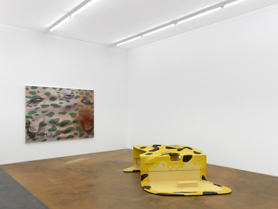 Tishan Hsu, vue d'exposition, MAMCO, 2024. Photo: Annik Wetter