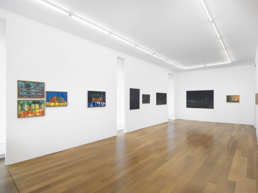 Exhibition view, Karishma D'Souza, Can’t See the Forest, xippas, 2023. Photo credit: Julien Gremaud
