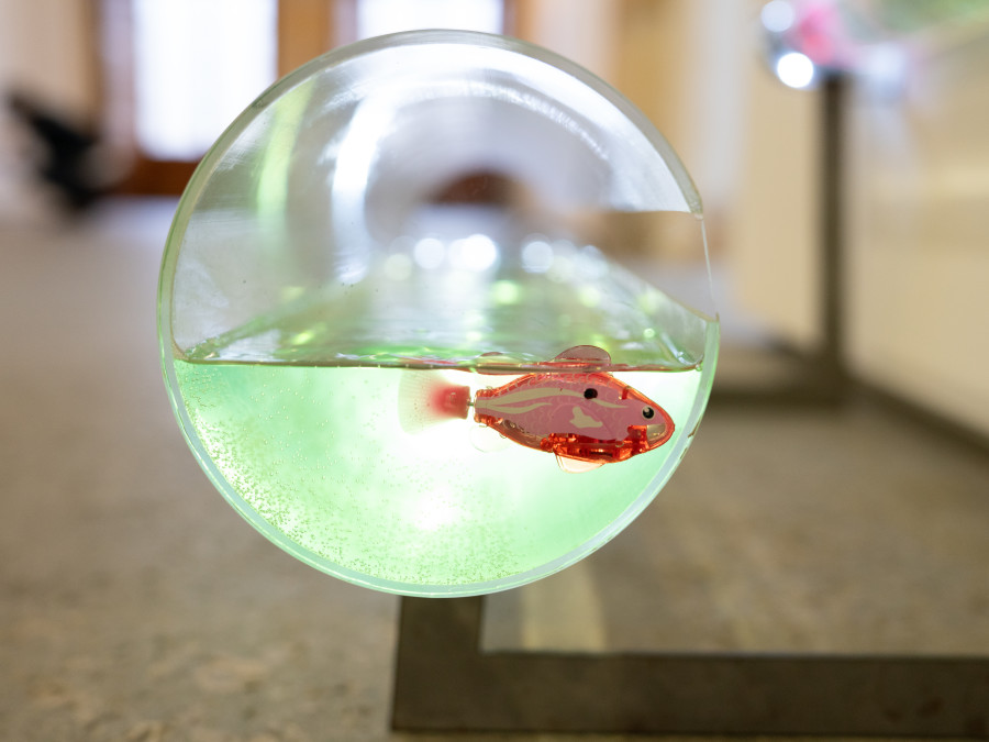 Salomé Engel, Centre d'Art Contemporain Yverdon-les-Bains (CACY), 2025. Photo credit: Anne-Laure Lechat