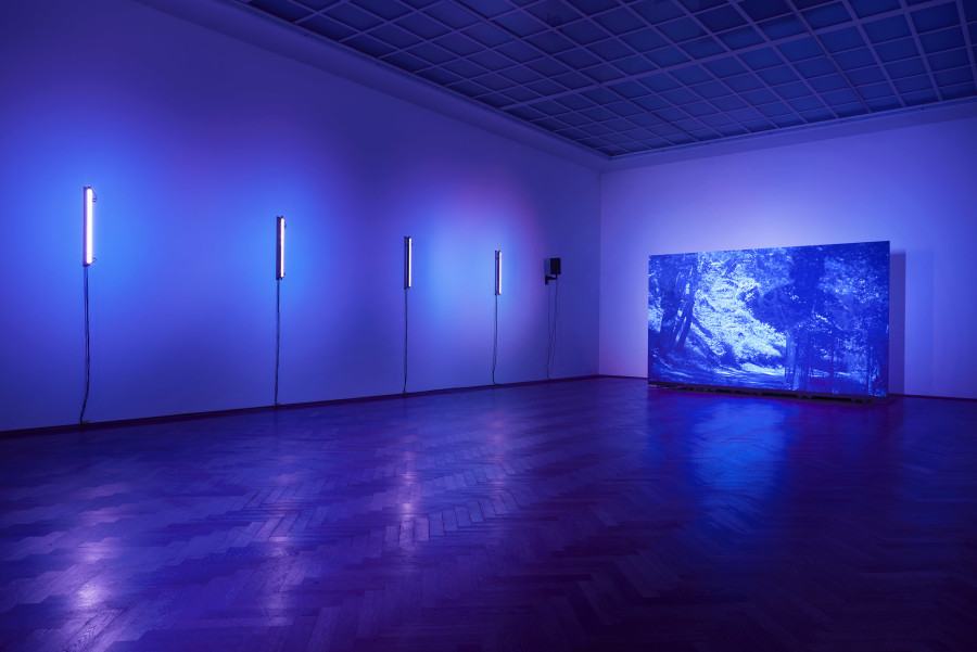 P. Staff, La Nuit Américaine, 2023, installation view, in: P. Staff, In Ekstase, Kunsthalle Basel, 2023, photo: Philipp Hänger / Kunsthalle Basel