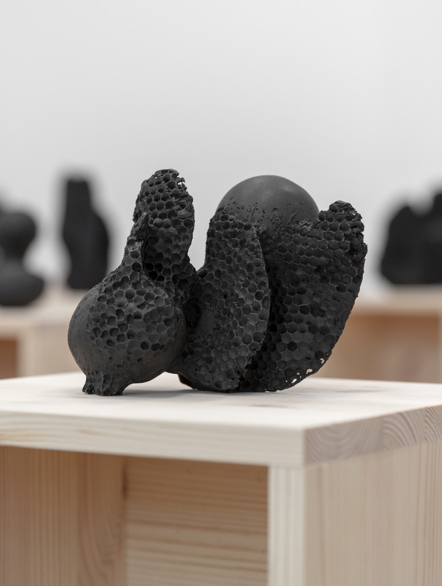 Michael Sailstorfer, Batterie, installation view, Livie Gallery, photos: Esther Mathis