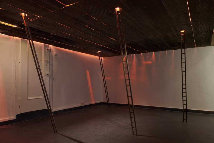 Installation view, Margot Sparkes & Guillaume Baeriswyl, Deux pattes bon ! Quatre pattes mieux !, La Placette, 2023. Photo credit: Guillaume Python