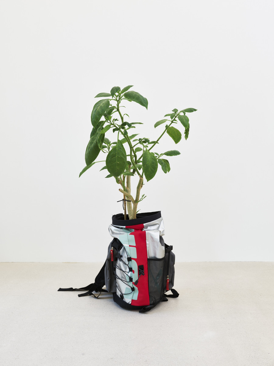 Installation view, Jasmin Werner, Apparat Kleptokrat, Damien & The Love Guru, Zürich, 2025. Courtesy of the artist and Damien & The Love Guru, Brussels/Zurich. Photography : Felix Jungo