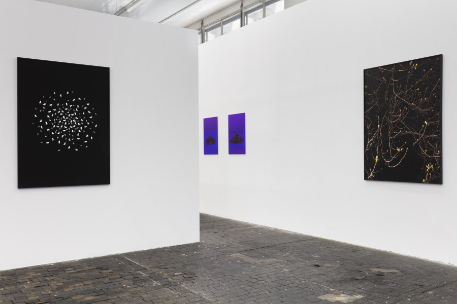 Installation view, Léonie Rose Marion, Relever la nuit, Centre de la photographie Genève, 2024. Photo credit: Lucas Olivet