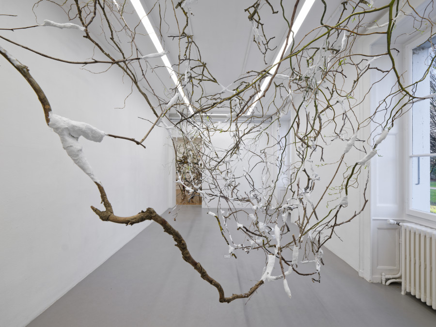 Exhibition view, Jan Kopp, Sous le silence, Villa du Parc, 2025. Photo credit: Aurélien Mole