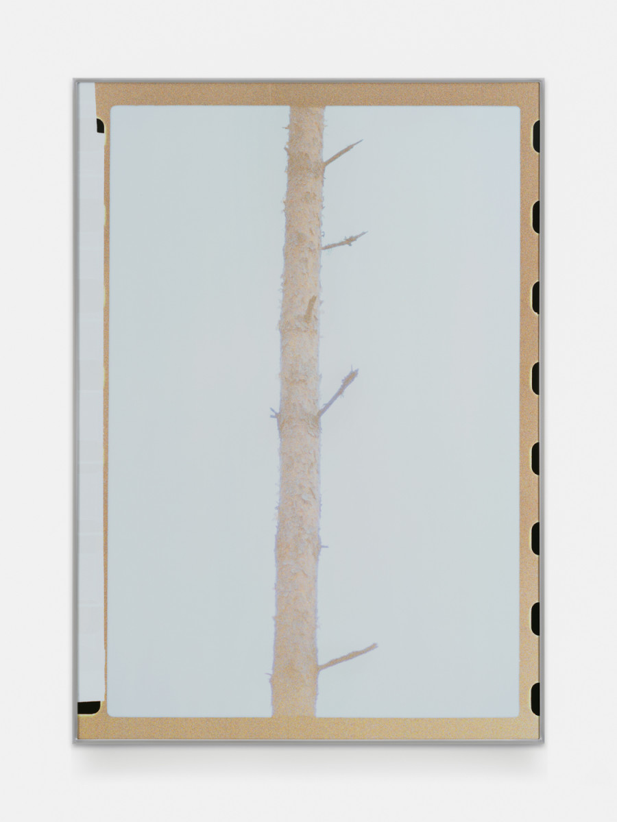 Sebastian Stadler, Untitled (New Archeologies), 2025, C-Print, aluminum frame by the artist, 128 x 90,5 cm, edition of 3 + 2 AP. Galerie Heinzer Reszler, 2025. Courtesy of the artist and the gallery. Photo credit: Julien Gremaud