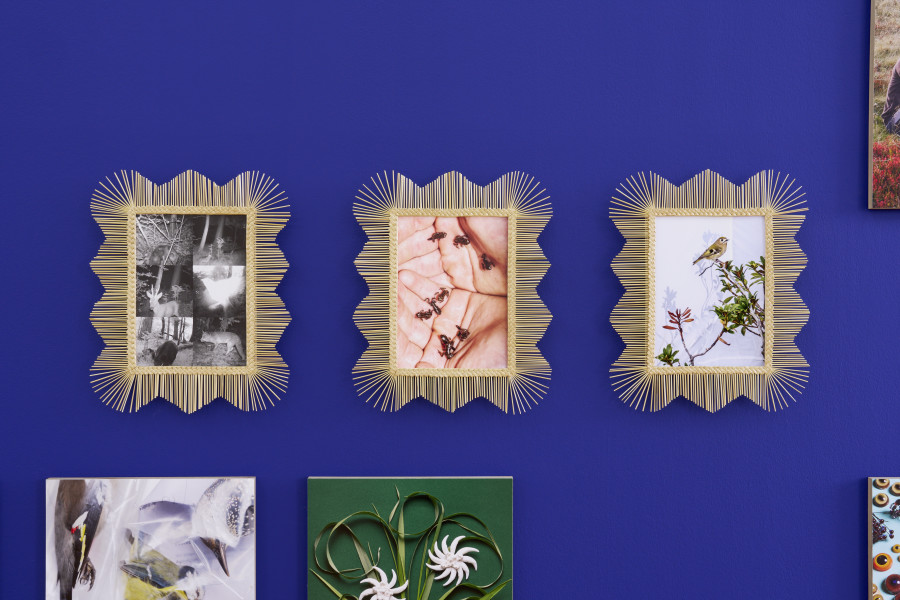 Installation view, Laurence Kubski, Sauvages, Kunsthalle Friart Fribourg, 2024. Photo: Guillaume Python. Courtesy of the artist and Kunsthalle Friart Fribourg