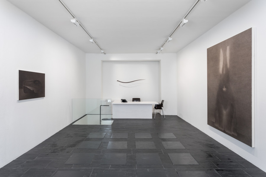 Exhibition view, Shao Fan, Galerie Urs Meile, 2024.