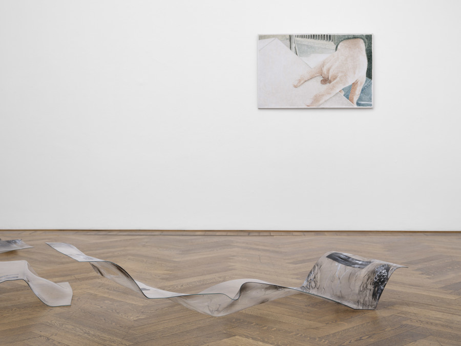 Regionale 26, After the Afternoon, exhibition view, Kunsthalle Basel, 2025, photo: Philipp Hänger / Kunsthalle Basel