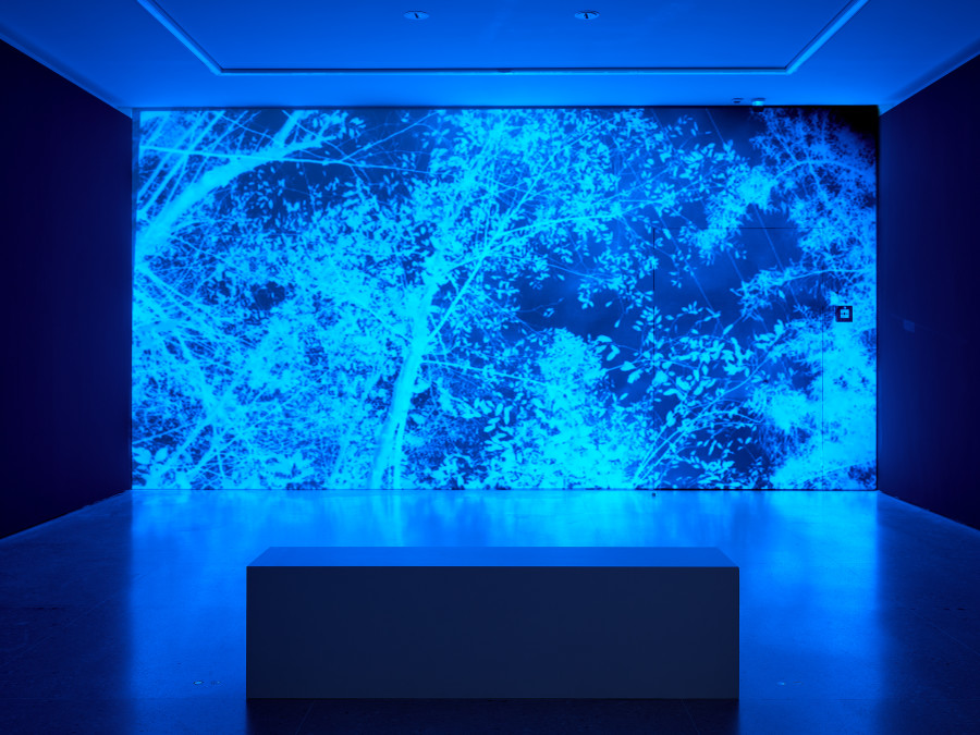 Ausstellungsansicht Eintauchen! Moritz Hossli, Stereo Kinematica, 2018. Foto: Ernst Kehrli. © Courtesy of the artists, Kunsthaus Zug