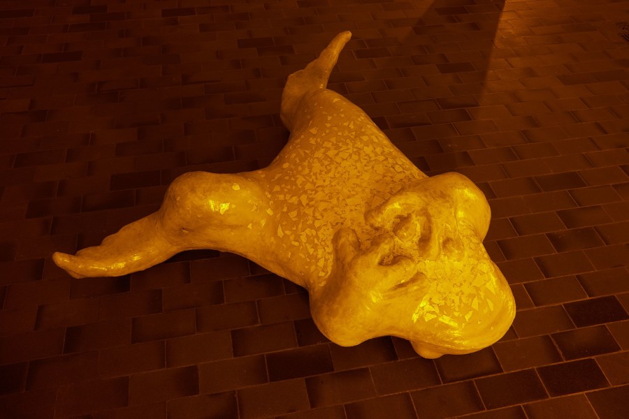 Installation view, Chloé Delarue & Denis Savary, Octogone, Mayday, 2023. Photo credit: Moritz Schermbach