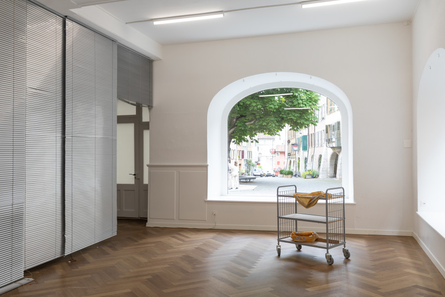 Installation view, A SEQUEL SEEPING NEARBY, Leolie Greet, KRONE COURONNE, 2025. Photo credit: Michal Schorro