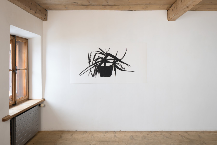 Andrea Büttner, Plant, 2017. Photo: Ralph Feiner, Courtesy of the artist and Galerie Tschudi